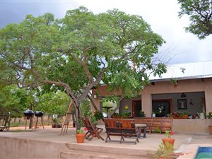 21 ha Farm in Vaalwater
