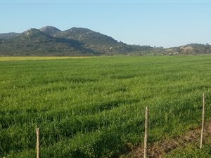 128 ha Farm in Northern Paarl