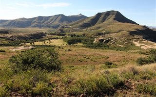 887 ha Farm in Ficksburg
