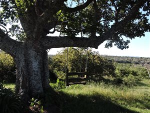 60 ha Farm in Grahamstown Central
