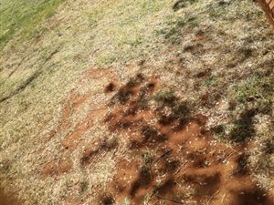 218 m² Land available in Soshanguve