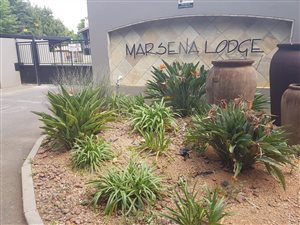 1 Bed Duplex in Brenthurst