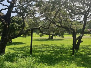7735 m² Land available in Uvongo