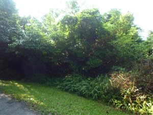 1369 m² Land available in Marina Beach