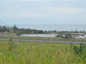 1.5 ha Land available in Shelly Beach