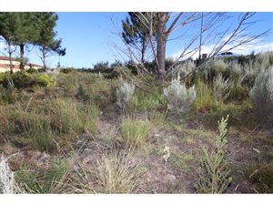 420 m² Land available in Pacaltsdorp