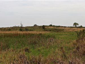7 ha Farm in Shakaskraal