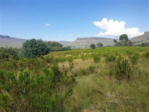1.2 ha Land available in Kamberg