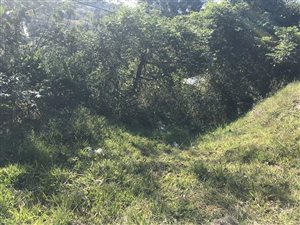 3620 m² Land available in Forest Hills