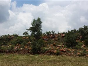 Farmland in Rietfontein AH