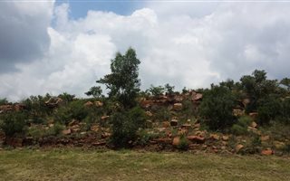 Farmland in Rietfontein AH