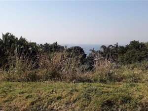2164 m² Land available in Woodgrange