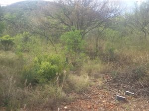 1036 m² Land available in Seasons Lifestyle Estate