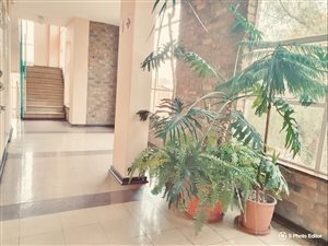 4 Bed Apartment in St Andrews