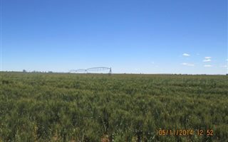 550.3 ha Farm in Kaalspruit