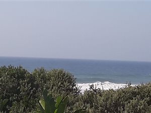 1 Bed Apartment in Warner Beach