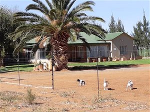 75 ha Farm in Hartswater