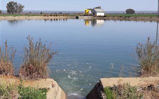 75 ha Farm in Hartswater