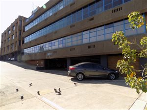 1000 m² Office Space in Edenvale