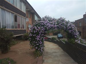 1 Bed Townhouse in Townsview