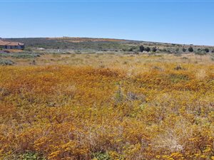 800 m² Land available in Langebaan Country Estate