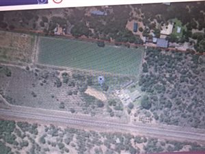 8.6 ha Farm in Bultfontein AH