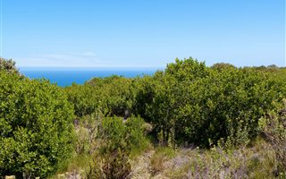 2701 m² Land available in Herolds Bay