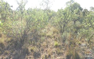1000 m² Land available in Koro Creek Golf Estate