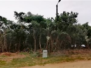 1404 m² Land available in Hibberdene