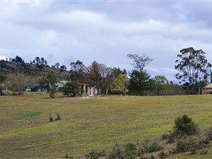 289.6 ha Farm in Keurboomstrand