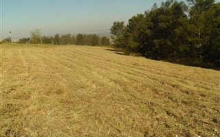 1001 m² Land available in Bishopstowe