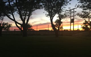 85.6 ha Farm in Bloemfontein