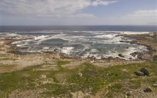 23.7 ha Land available in Rooi Els