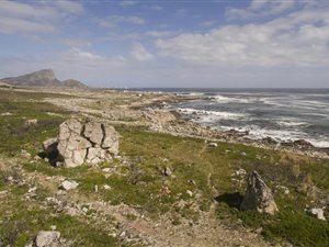23.7 ha Land available in Rooi Els