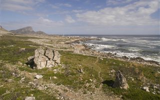 23.7 ha Land available in Rooi Els
