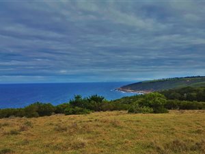 9.4 ha Land available in Hansmoeskraal