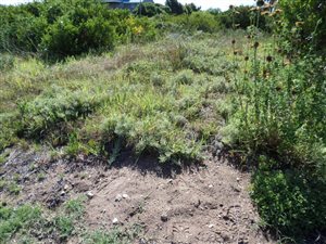 600 m² Land available in Fraaiuitsig