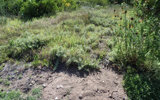 600 m² Land available in Fraaiuitsig