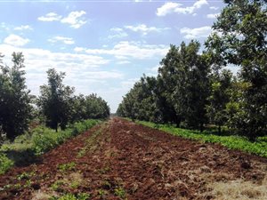 40 ha Farm in Hartswater
