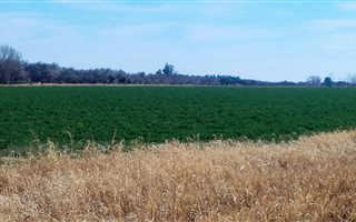 40 ha Farm in Hartswater