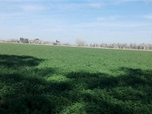 40 ha Farm in Hartswater