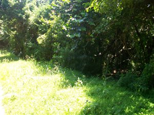 2916 m² Land available in Palm Beach