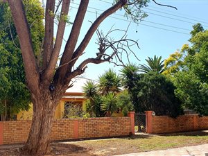 3 Bed House in Kirkwood