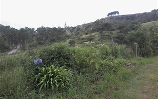 57 ha Farm in Cliffdale