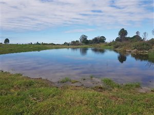 58 ha Farm in Humansdorp