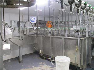 10.8 ha Farm in Bapsfontein