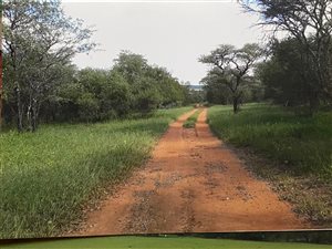 503 ha Farm in Zeerust