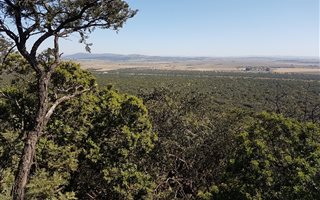 360 ha Farm in Fochville