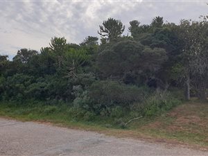 1076 m² Land available in Boesmansriviermond
