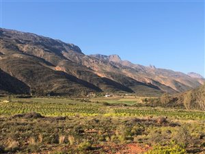 34 ha Farm in Ladismith